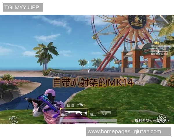 和平精英巨献:深入解析LNG战队的战术布局与作战策略 和平精英巨献:深入解析LNG战队的战术布局与作战策略